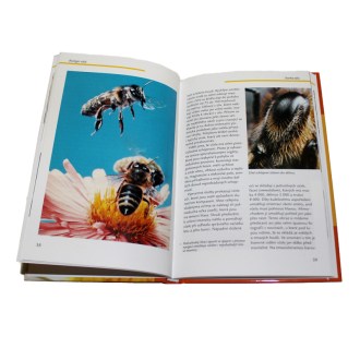 Zázračné včely - A. S.